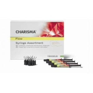 CHARISMA composito fluido